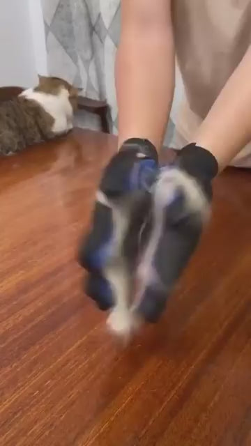 Magical Pet Grooming Glove – No More Pet Hair Mess!
